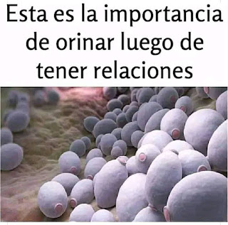 Importancia de Orinar Después de Tener Relaciones Sexuales